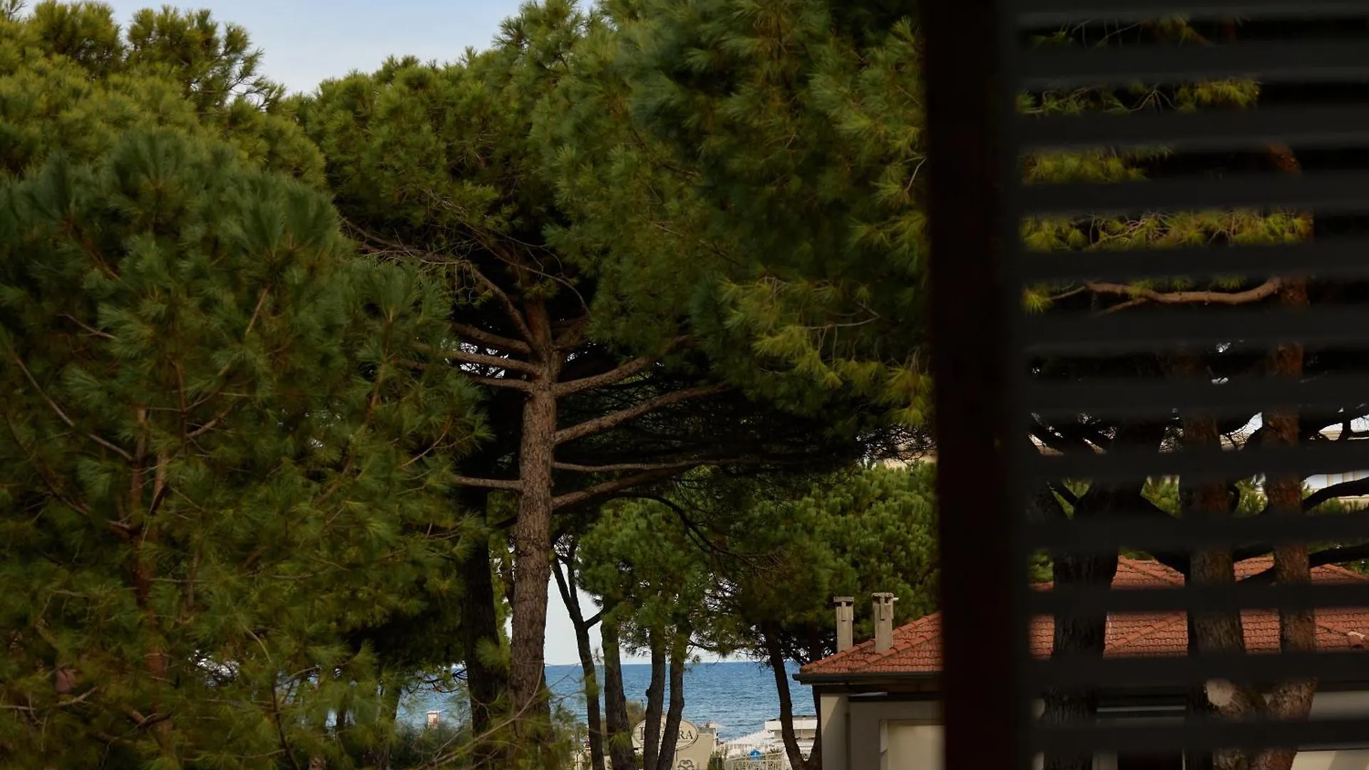 Hotel Saraceno Resort With Private Beach Milano Marittima 4*,