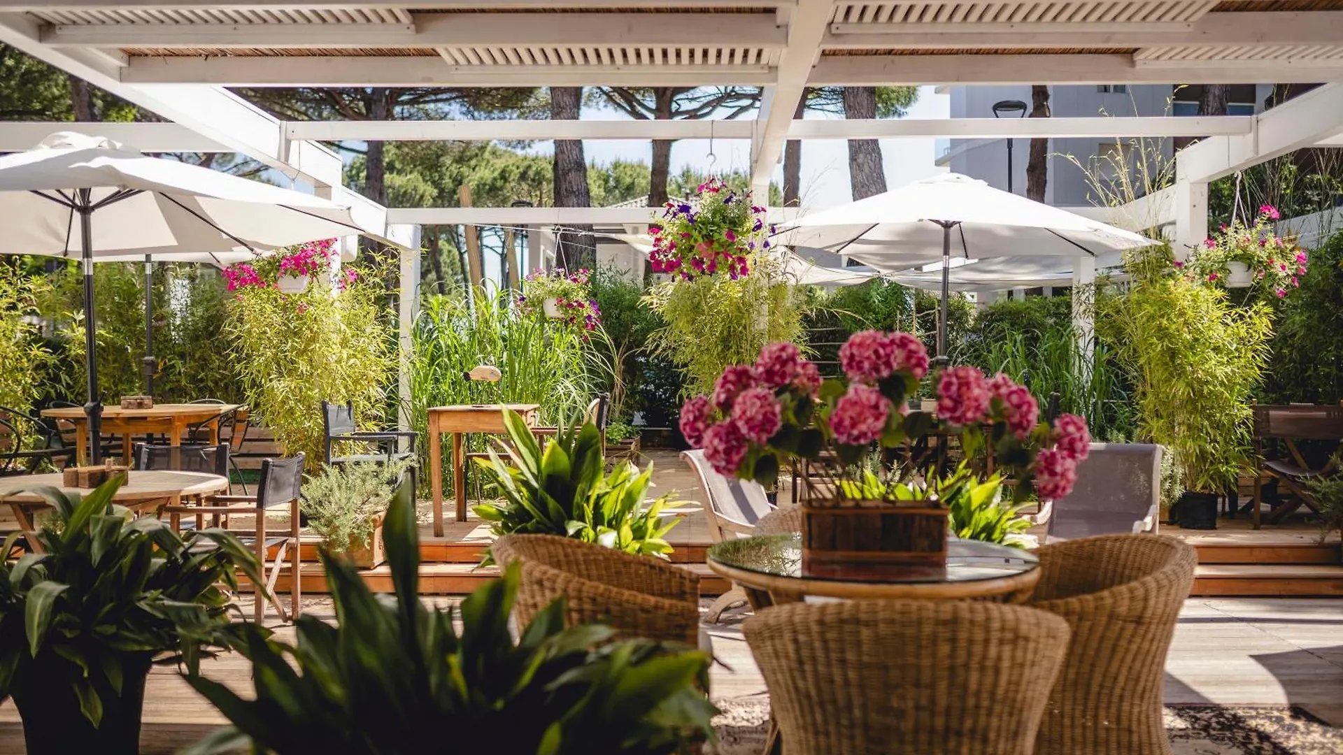 Hotel Saraceno Resort With Private Beach location